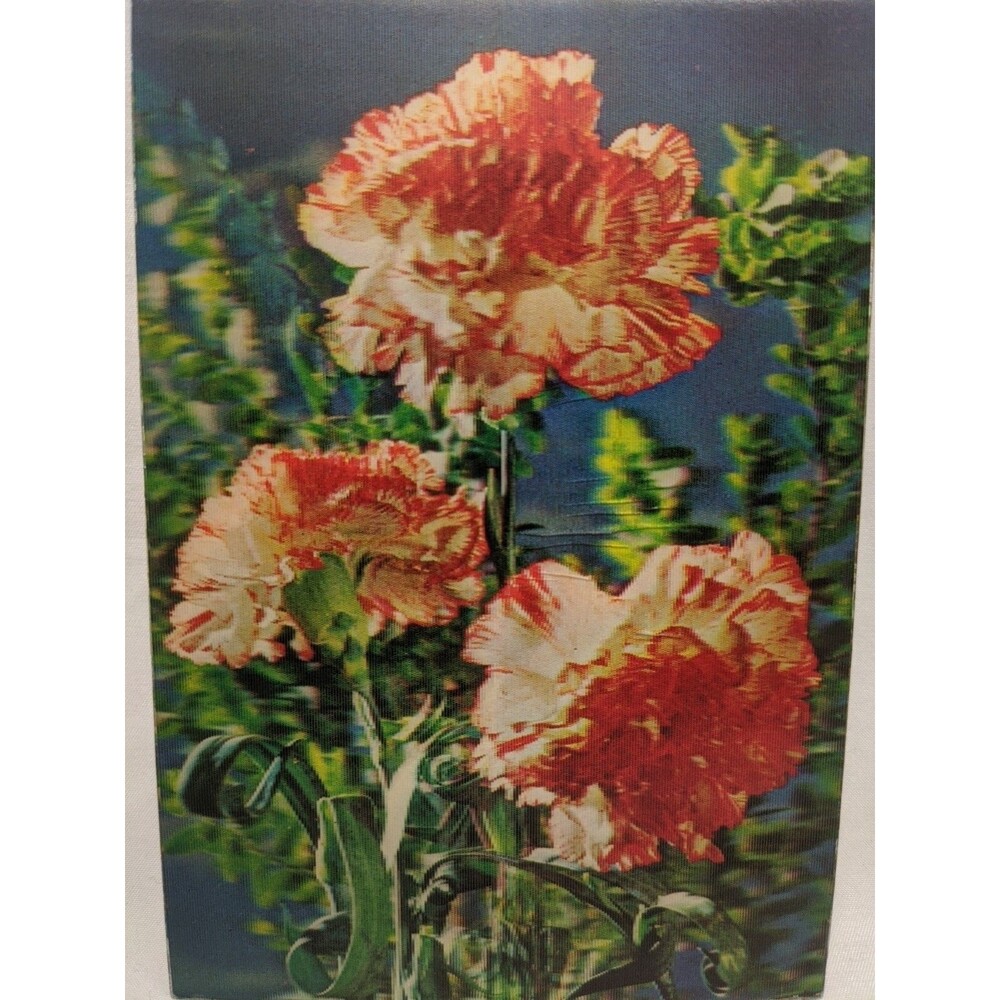 Vintage 1977 3D Flower Post Card To Ann From Dan Pili Rich Susan